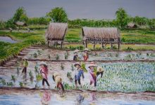 Au coeur des rizières ( Birmanie )